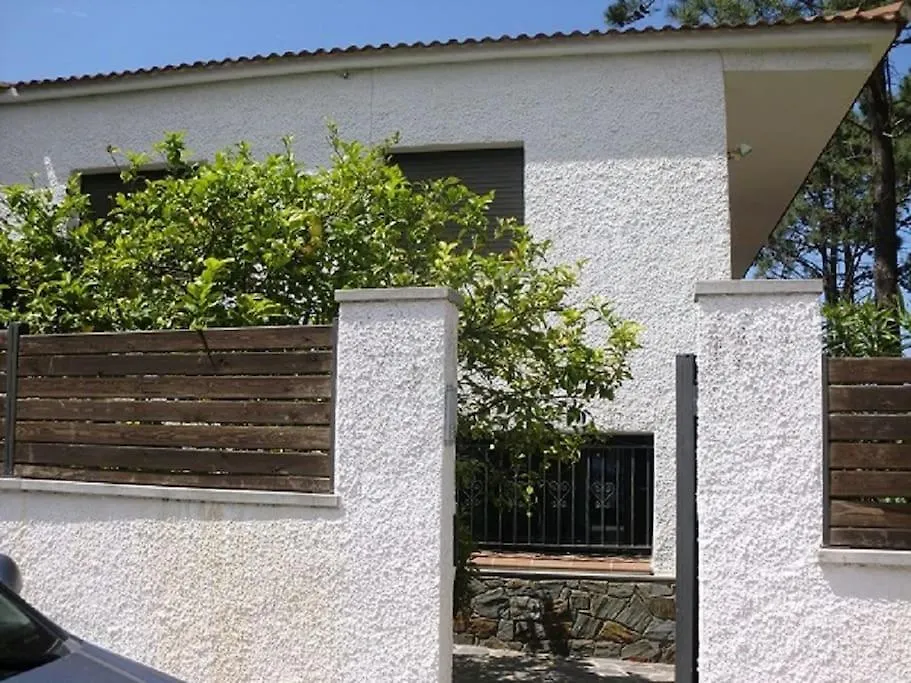 Apartament Appartement De 4 Chambres Vue Mer 12Mn De La Palge Llança Hiszpania